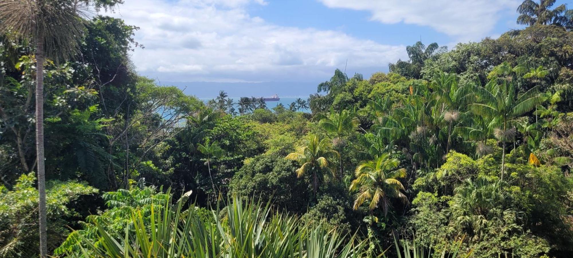 Casa Da Pedra - Homestay Ilhabela